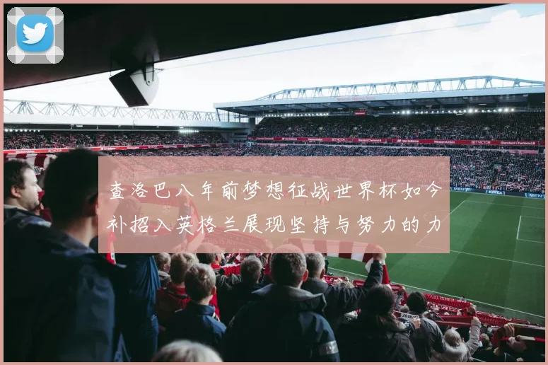 查洛巴八年前梦想征战世界杯如今补招入英格兰展现坚持与努力的力量